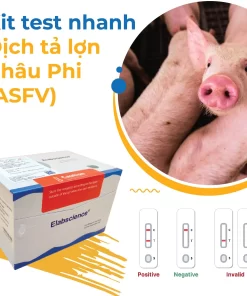 Kit test nhanh dịch tả lơn Châu Phi ASFV