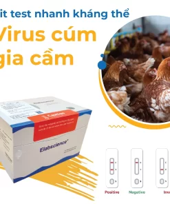 Virus Cúm gia cầm