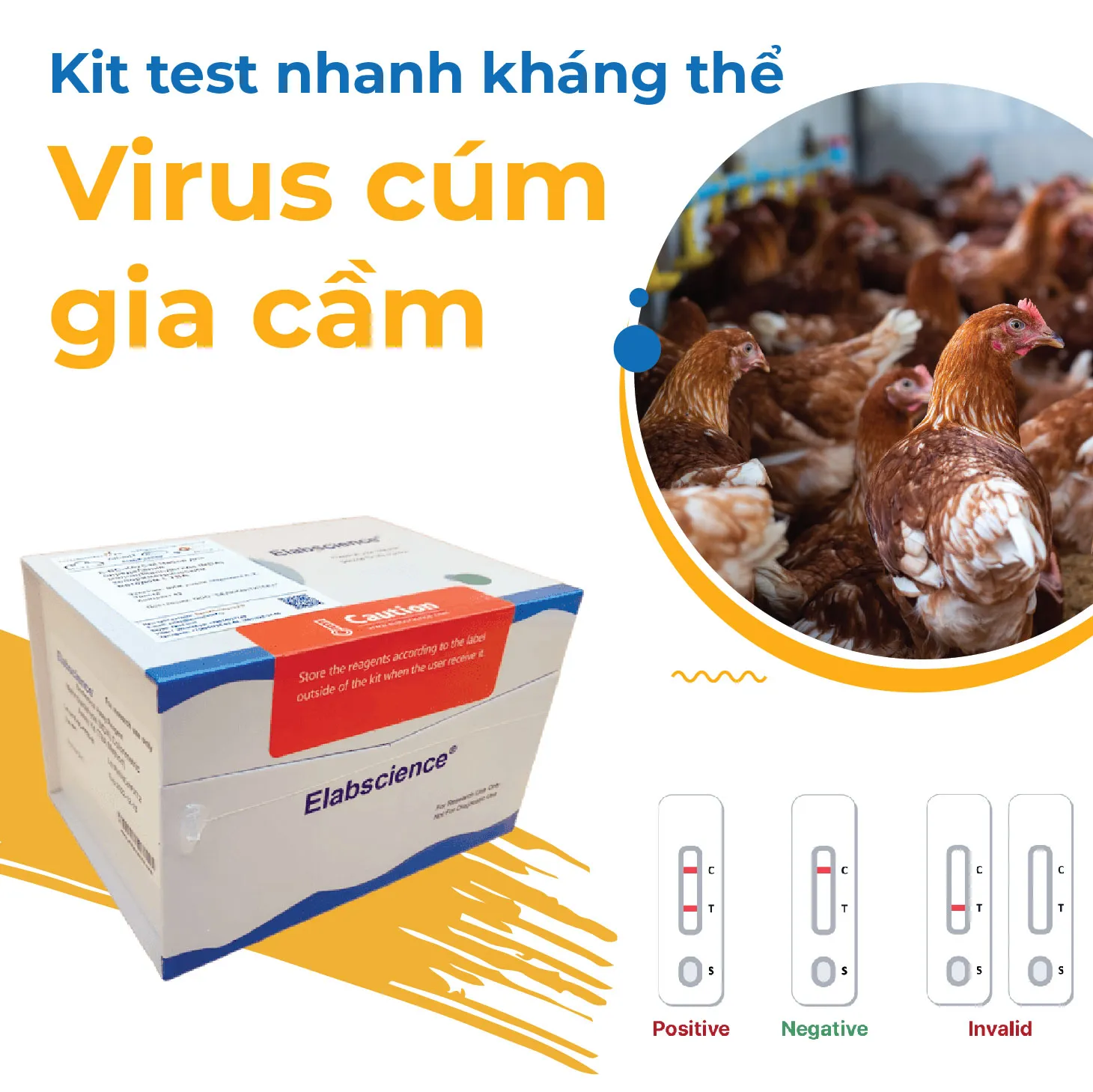 AI Antibodies Test nhanh
