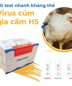Kháng thể Virus Cúm gia cầm H5