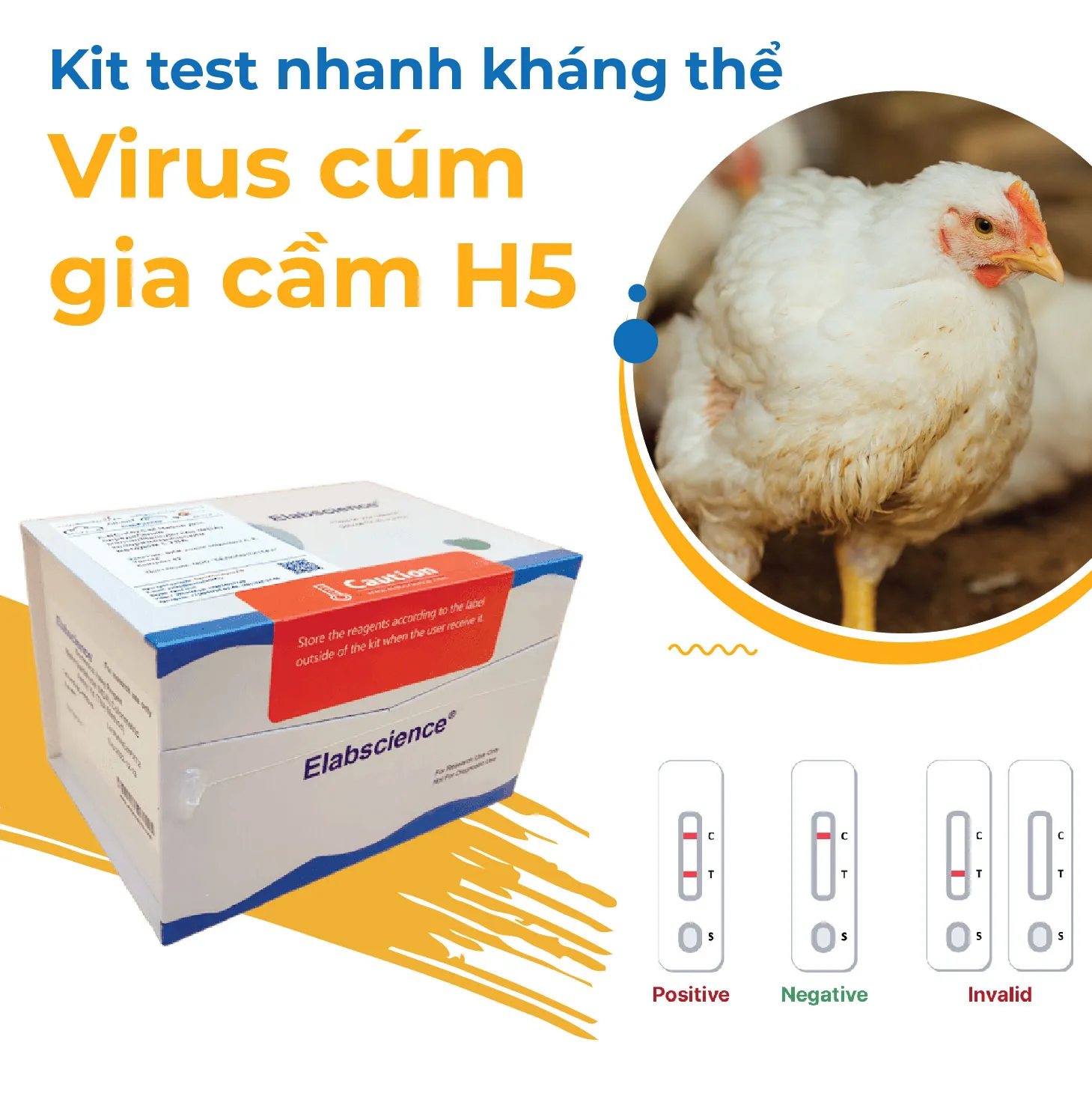 AI H5 Antibodies Test nhanh