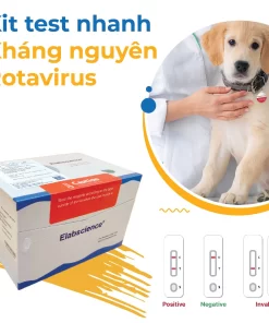 KIT test nhanh kháng nguyên Rotavirus