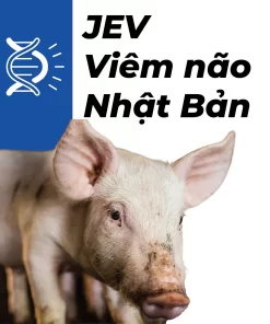 TopSPEC® JEV RT-qPCR KIT (SQV-109)