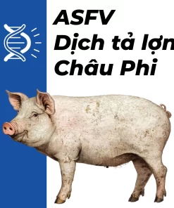 TopSPEC® ASFV qPCR KIT (SQV-101)