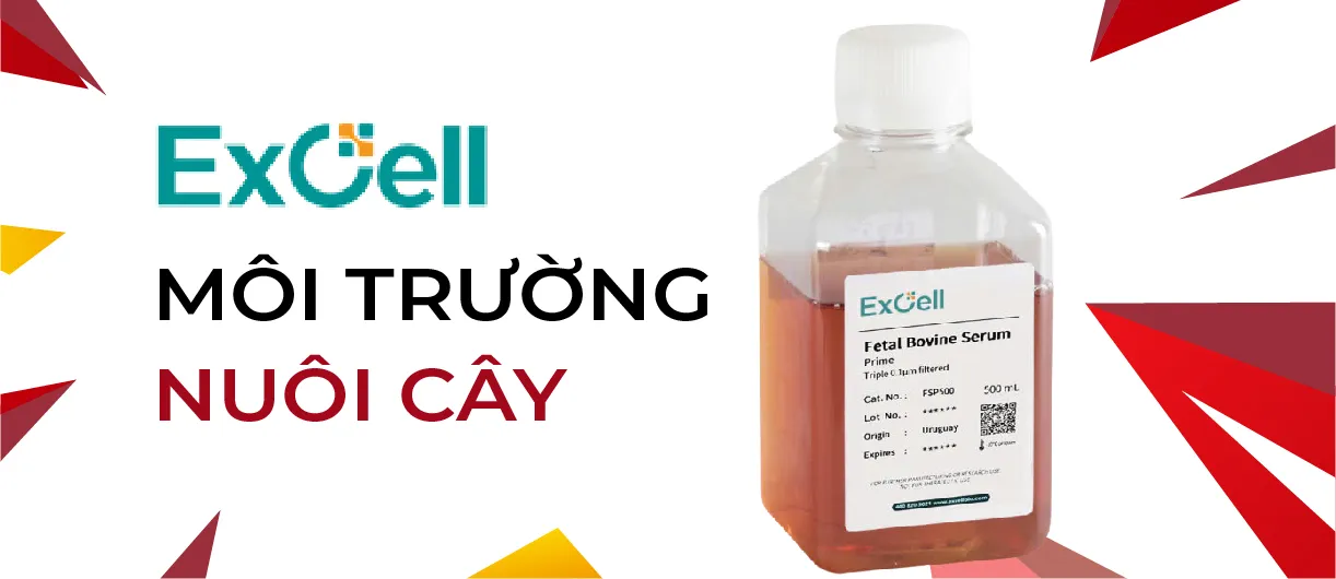 Excell môi trường nuôi cấy