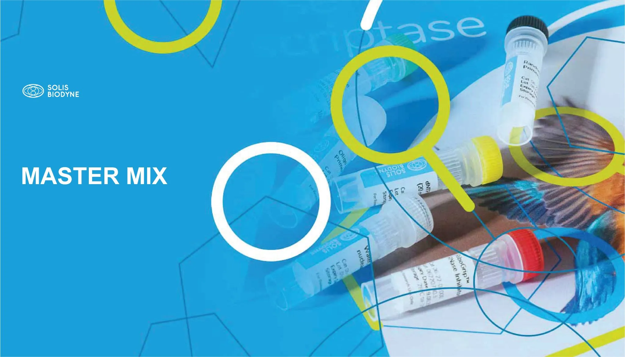 Giải pháp Master Mix