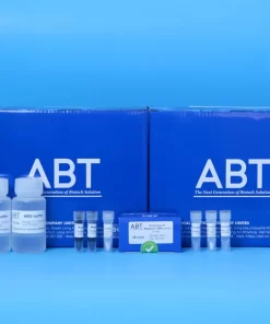 TopPURE® MAGA SERUM RNA EXTRACTION KIT (HI-003)