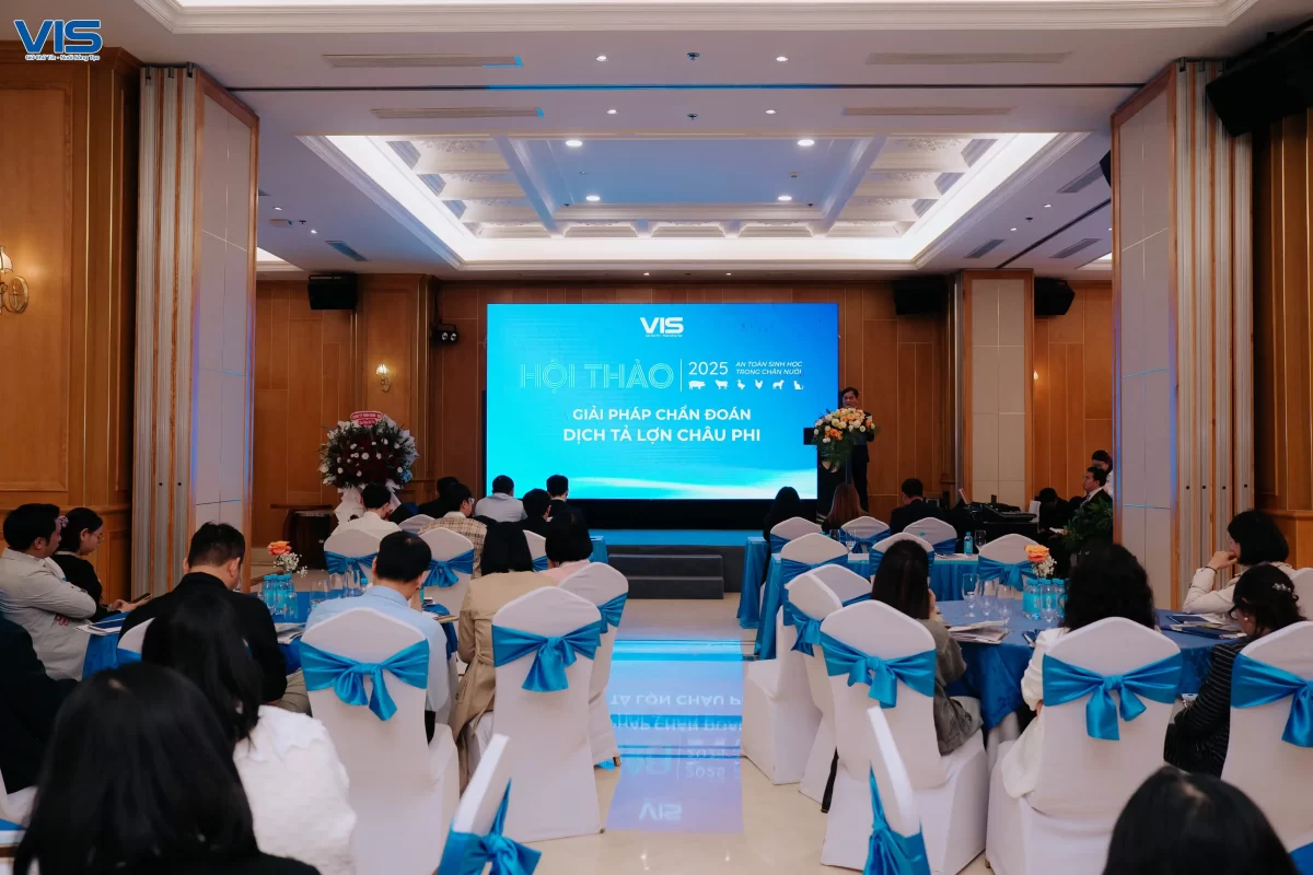 An toàn sinh học trong chăn nuôi và Giải pháp chẩn đoán Dịch tả lợn châu Phi ASFV