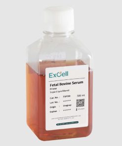 Fetal Bovine Serum FSP500