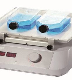 Máy lắc ngang SK-L180-S