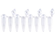Ống PCR 0,2ml dải 8 có nắp vòm, Gunster (MB-P08AD)