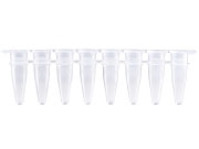 Ống PCR 0,2ml dải 8 có nắp phẳng riêng, Gunster (MB-P08B)