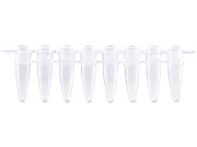 Ống PCR 0,2ml dải 8 có nắp vòm riêng tube, Gunster (MB-P08D)