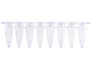 Dải 8 ống qPCR 0,2ml vách trong, Gunster (MB-Q200)