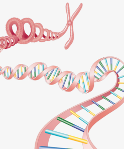 TopSPEC® BOVINE DNA DETECTION KIT (SQM-102)