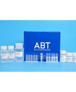 Kit Tách Chiết - TopPURE® BLOOD DNA EXTRACTION KIT (HI-132)