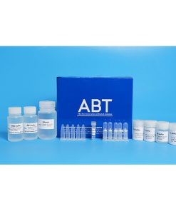 Kit Tách Chiết - TopPURE® PLASMID DNA EXTRACTION KIT (HI-142)