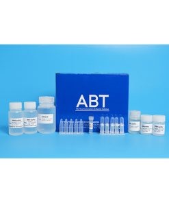 Kit Tách Chiết - TopPURE® VIRAL DNA/RNA EXTRACTION KIT (HI-172)