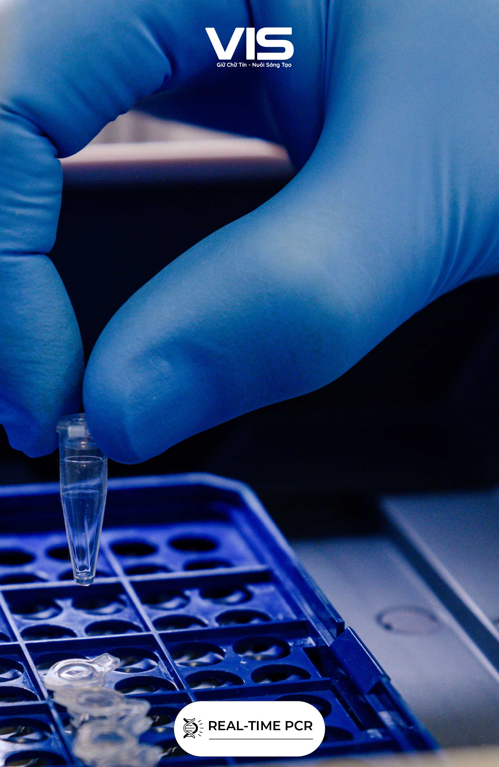 KIT REAL-TIME PCR NOI BAT