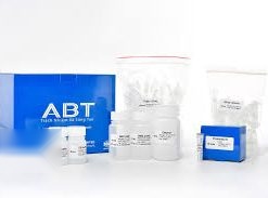TopPURE® PCR/GEL DNA PURIFICATION KIT