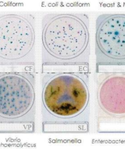 Compact Dry (Nissui)