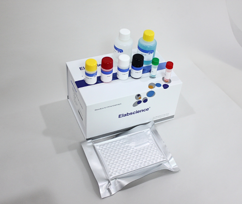 Kit Elisa Phát Hiện Kháng Thể PCV2 (Porcine Circovirus Type 2 Antibodies ELISA Kit)