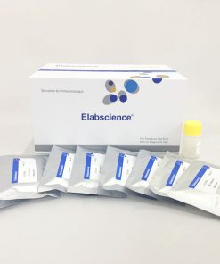 Kit test nhanh phân tích định tính Salbutamol - chất tăng trọng