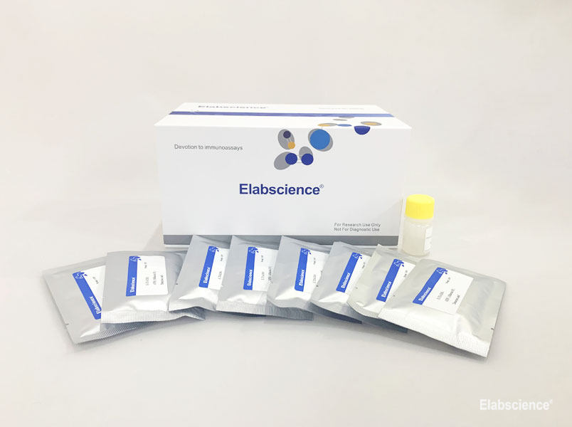 Kit test nhanh độc tố Aflatoxin M1