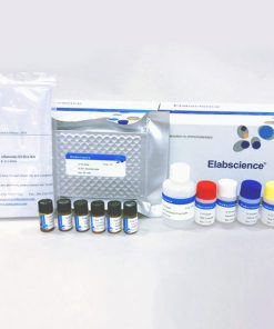 KIT ELISA xét nghiệm Tetracyclines - TCs(Tetracyclines) ELISA Kit
