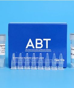TopSPEC® ASFV MULTIPLEX qPCR KIT (MQV-121)