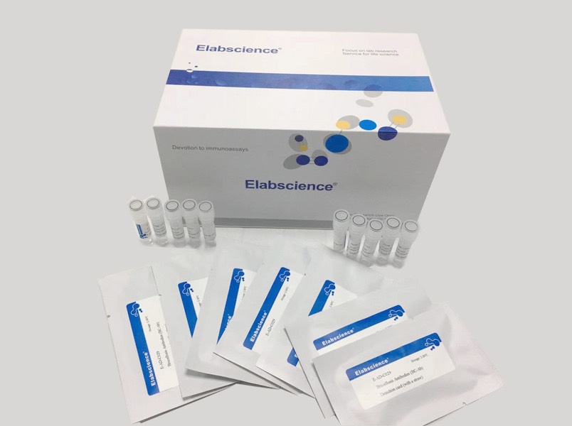 Test nhanh kháng thể kháng virus FMDV type A - bệnh lở mồm long móng