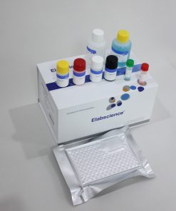 KIT xét nghiệm lở mồm long móng - định tính kháng thể virus Type AsiaI