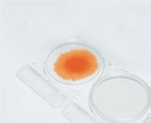 Mẫu tự động khuếch tán