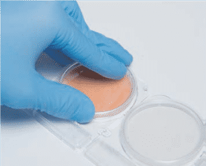 Đậy nắp đĩa Compact Dry