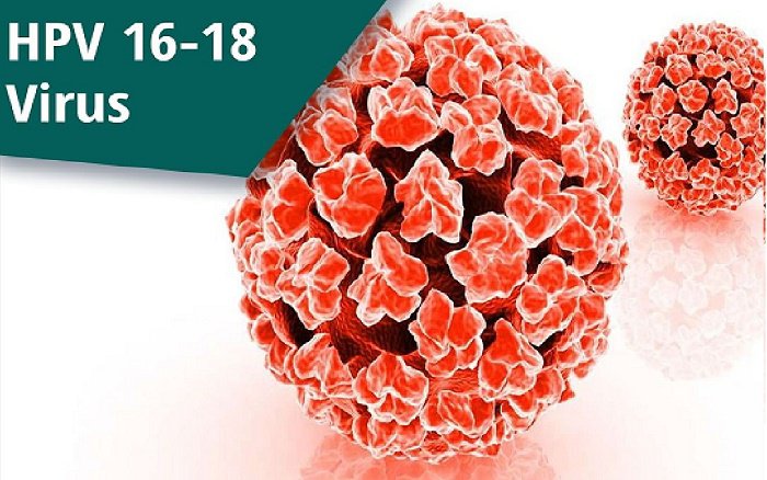 Abt Hpv