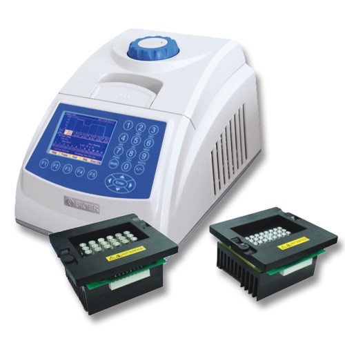 Máy PCR GeneQ