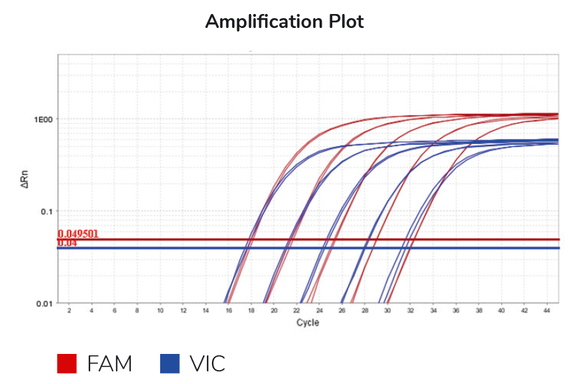 Abt Soliscript 1 Step Probe Kit Duplex