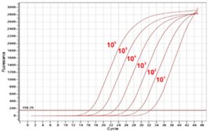 Abt Hbv Compare 01