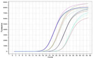 Abt Hbv Compare 02