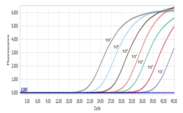 Abt Hcv Compare 01