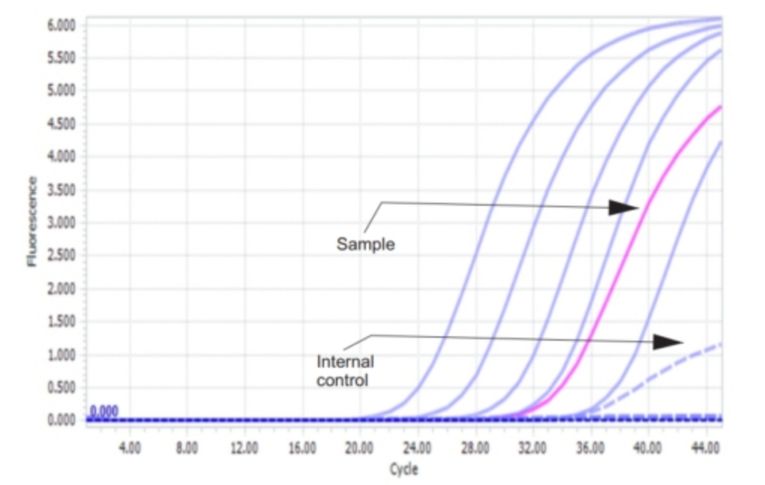 Abt Hcv Compare 02