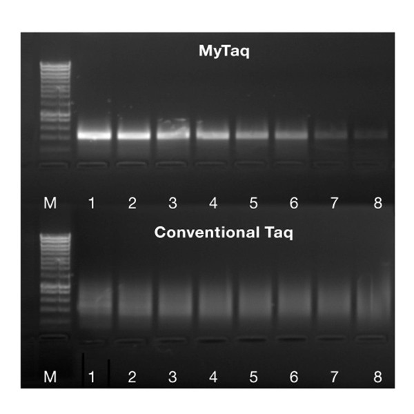 Abt Mytaq Mix Compare