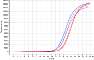 Abt Toppure Genomic 03