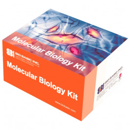 Rapid Bacteria Genomic DNA Isolation Kit (BS8225)