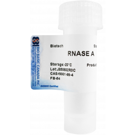 RNase A (RB0473)