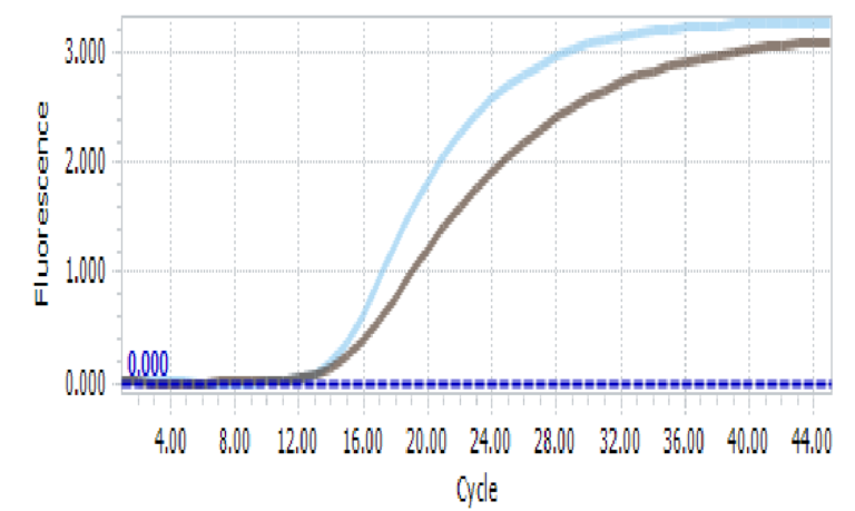 Serum 1 768x459