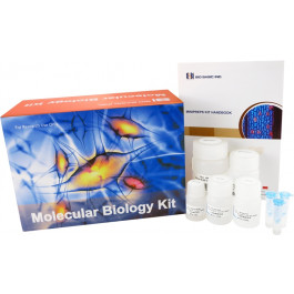 EZ-10 Spin Column Plant RNA Miniprep Kit (BS82314)